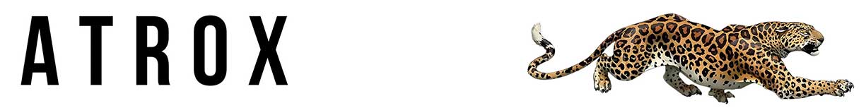 Luxury Gym Solutions